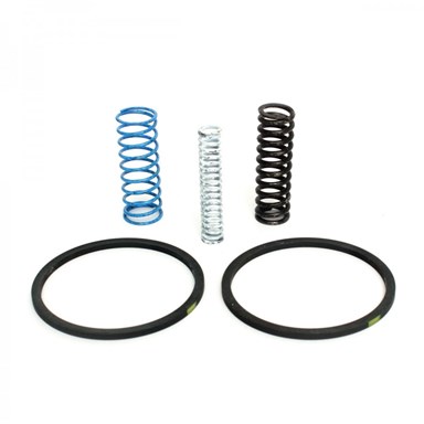 PUMP SPRING & RING KIT HD 4L60E SUPERIOR