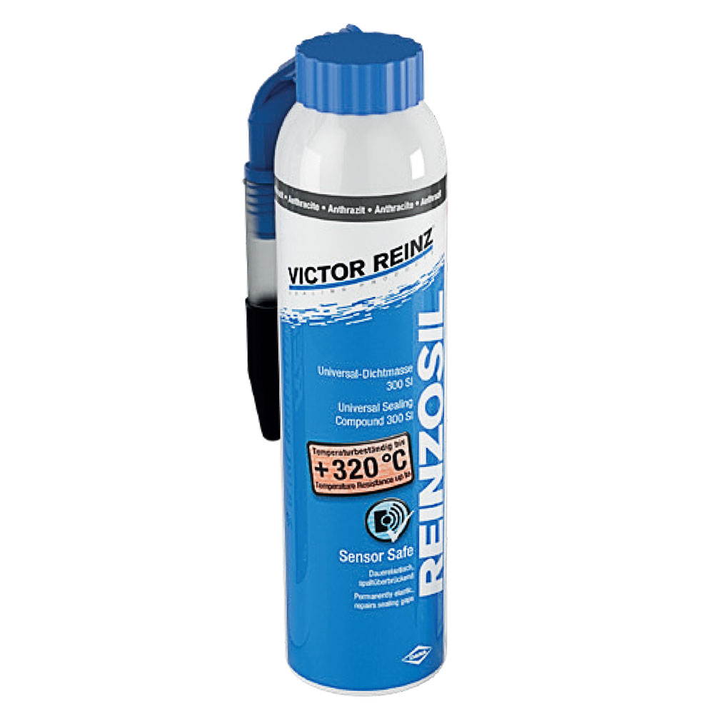 REINZOSIL^AEROSOL^200 ML