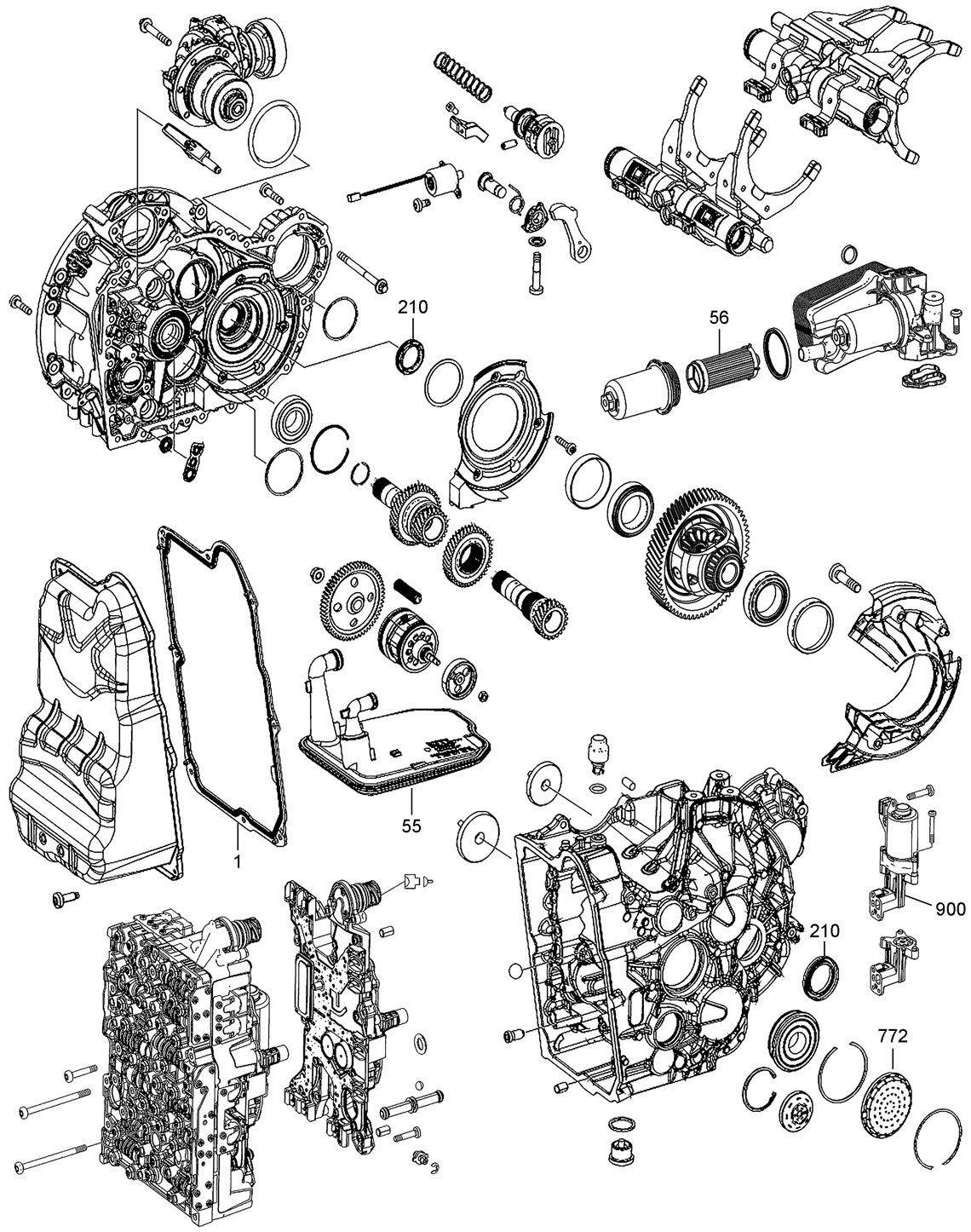 D146A_D.jpg